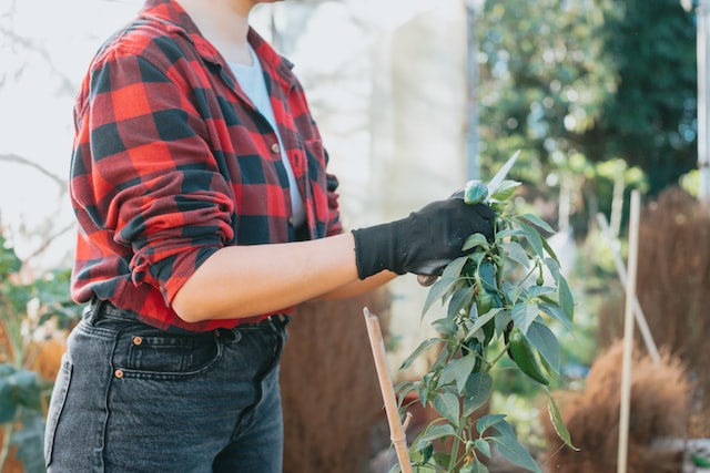 outils jardinage