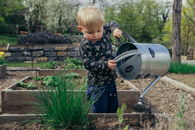 outils jardinage