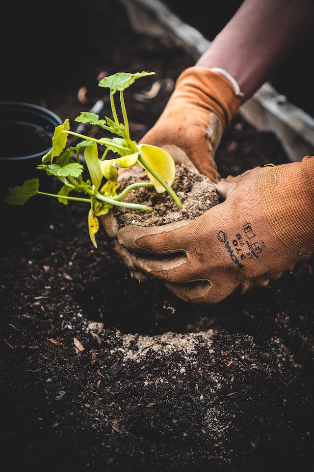 gants de jardinage