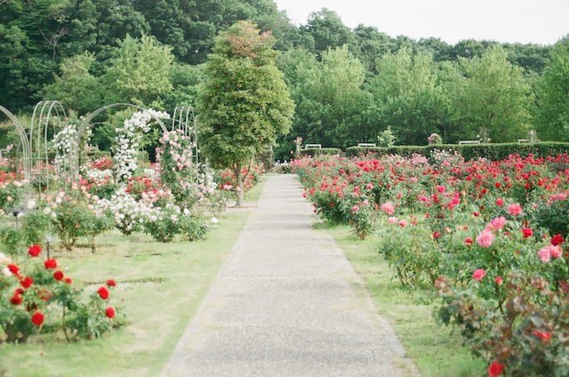 Jardinage et aménagement paysager