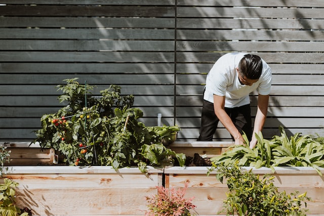 Jardinage et aménagement paysager